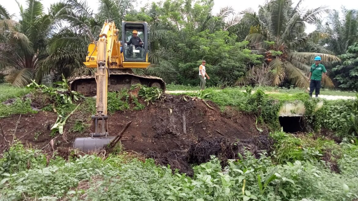 Alat Berat PT Letawa Turunkan Untuk Lakukan Pencucian Sungai Sepanjang 3.600 Meter Ini Bagian Program CSR