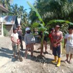 Warga Dusun Sari Maju Gelar Aksi Tanam Pohon Pisang Di Tengah Jalan Berlubang