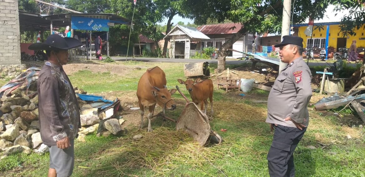 Bhabinkamtibmas Polsek Sinjai Timur Sambangi Pemilik Peternak Sapi Imbau Terkait PMK