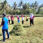 Menyambut HUT RI ke 77, Dinsos Pasangkayu Gelar Baksos Bersihkan TMP di Martajaya