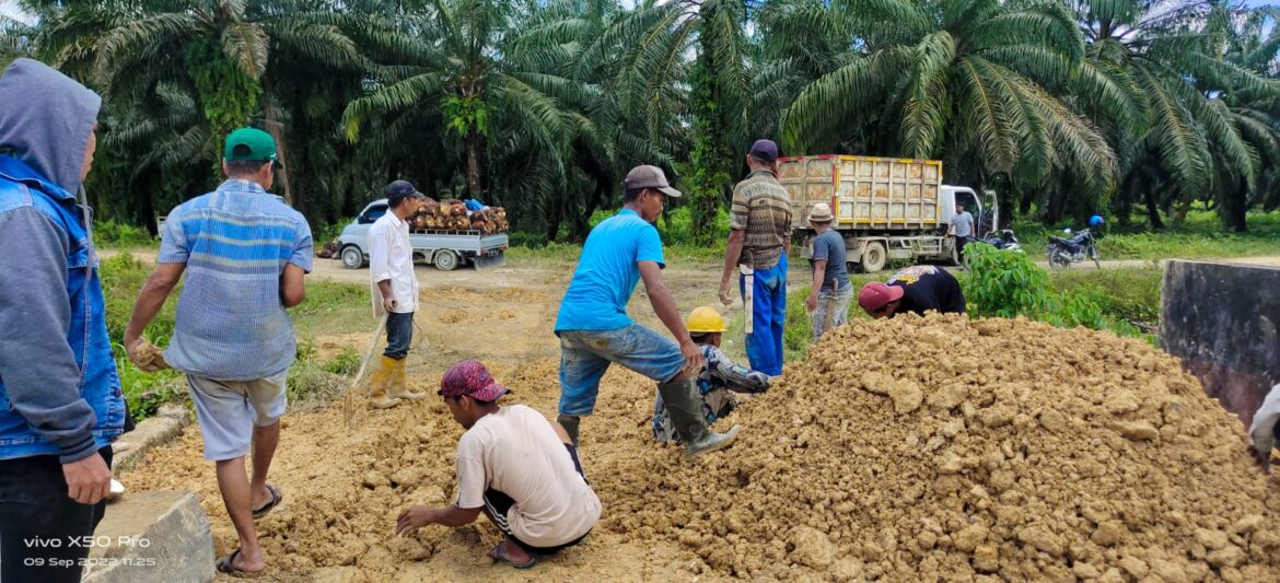 PT. PASANGKAYU KOMITMEN PERBAIKI JALAN INFRASTUKTUR DI DUSUN PUTIH MATA