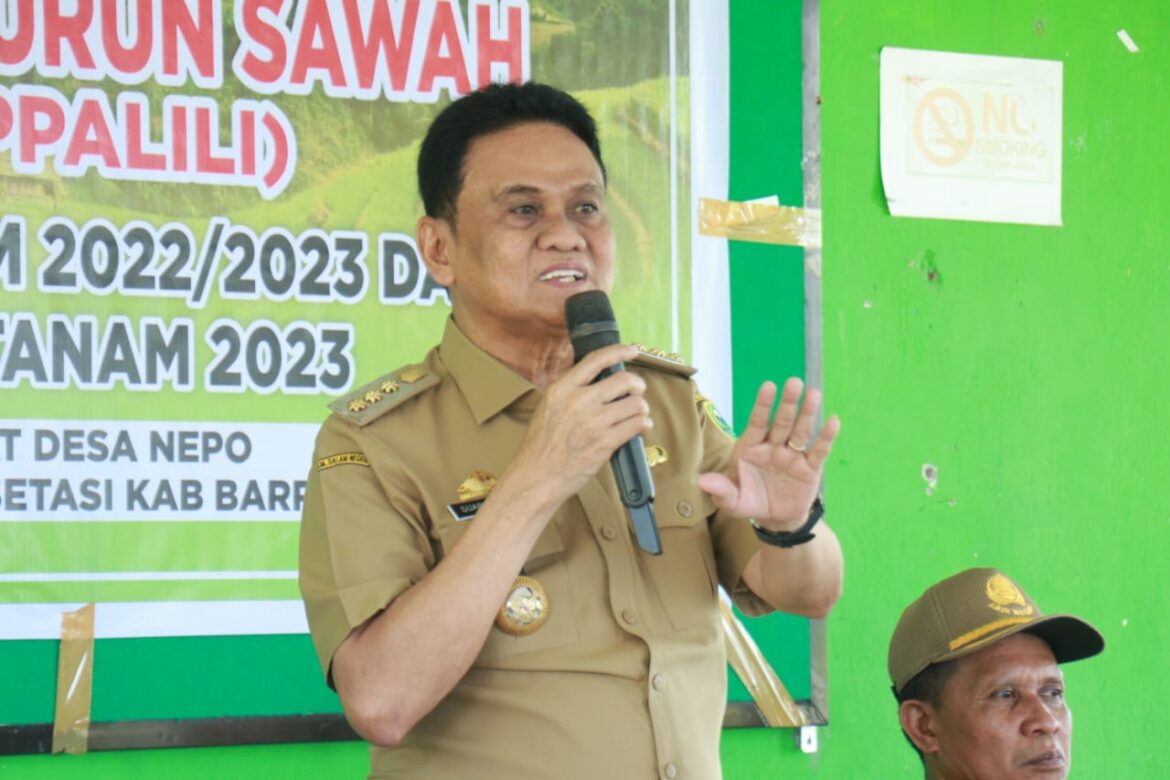 Bupati Barru Hadiri Prosesi Mappalili Tingkat Kecamatan Mallusetasi di Desa Nepo