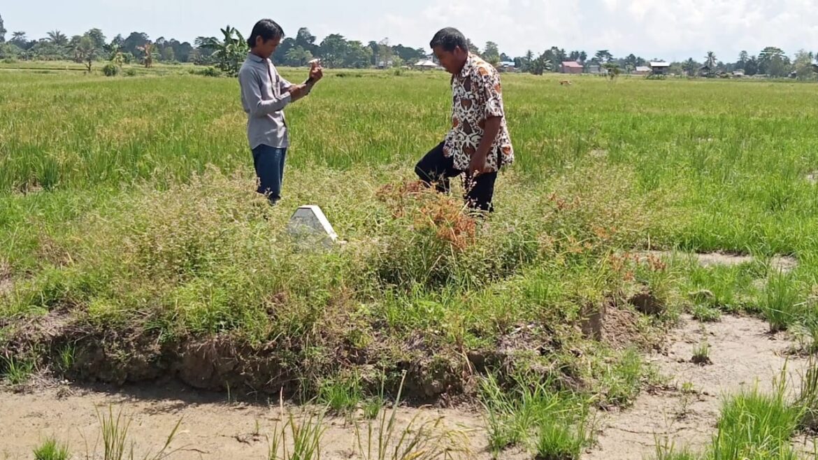 *LASUMBA KAMPUNG LELUHURKU KINI JADI TANAH SENGKETA*