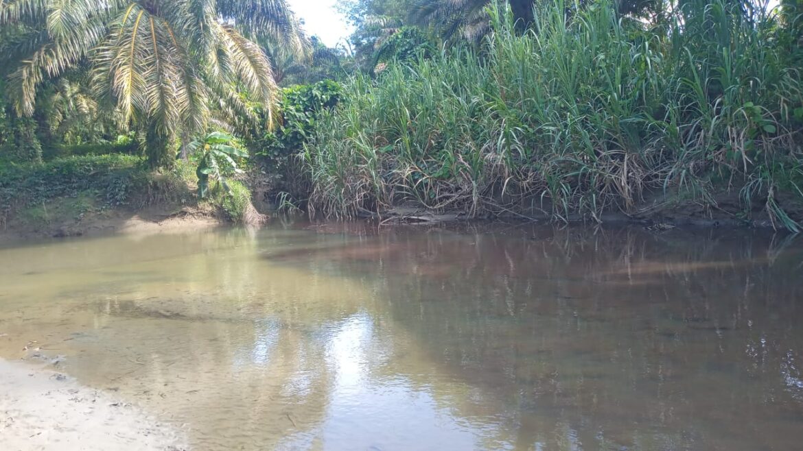 Lagi Kembali Insiden Jebol Kolam Penampung Limbah PT PSL Dikecamatan Baras ?