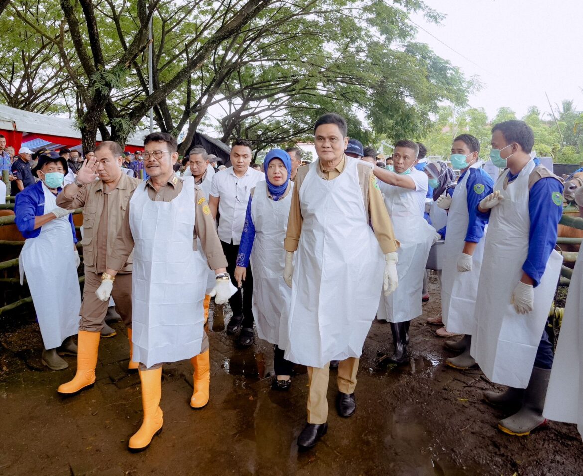 Bupati Barru Menyambut MENTAN Pada Acara Kick Off Vaksinasi PMK