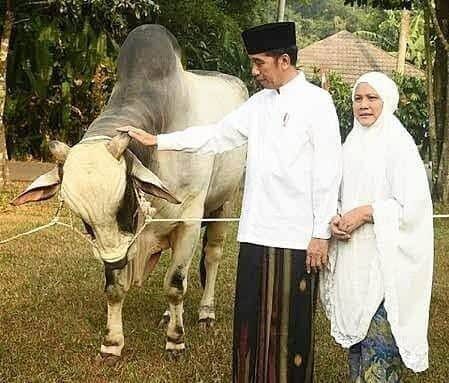 *Presiden Jokowi akan Salat Iduladha 1444 H di Istana Yogyakarta Bersama Masyarakat*