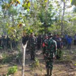 Hari Kedua TMMD Ke 118 Kodim/Muna Laksanakan Pekerjaan Fisik Pembuatan Jalan di Kelurahan Danagoa