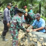 TMMD ke 118 Kodim 1427 Pasangkayu Sasaran Plat duicker Sudah Memasuki 25 persen