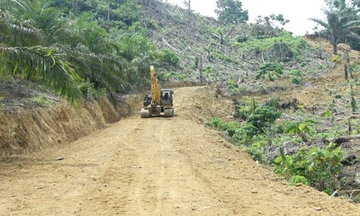 Pembukaan Jalan 3 Km didusun Messulu Sasaran 85 Persen TMMD ke 118 Kodim 1427 Pasangkayu