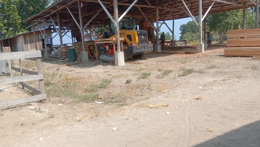 AREAL HUTAN KAYU  KAWASAN ADAT HOKOMINA GUNUNG WAIHOTONG  DI RAMBAH PENGUSAHA KAYU SUALAP.