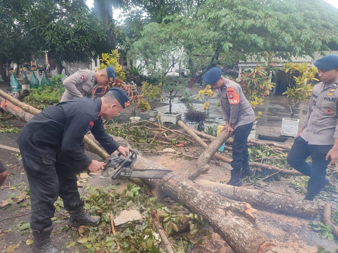 Atasi Pohon Tumbang Akibat Cuaca Ekstrim, Ini Pesan Penting Danyon Ichsan