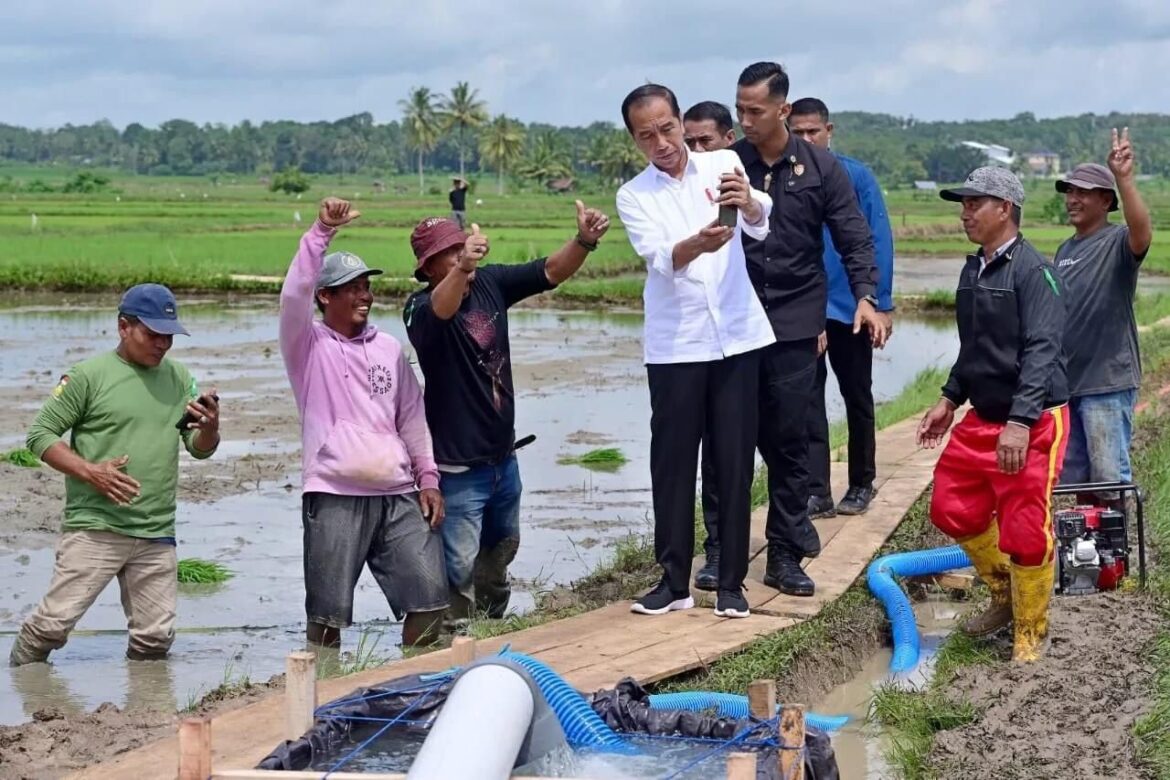 Presiden RI Berphoto Dengan Petani Di Sawah