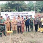 Pj Gubernur Sulbar Tanam Perdana Pisang Cavendish di Desa Binaan PT Letawa