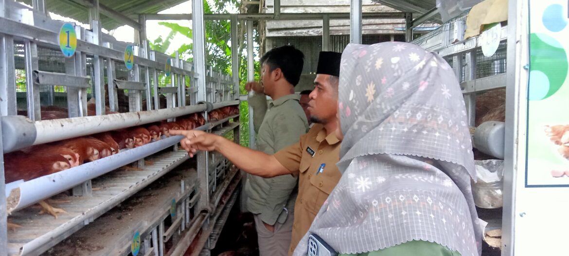 30 Warga Desa Ako yang Tergabung dalam UMKM Ayam Petelur Ako mendapat bantuan 200 ekor Ayam Petelur