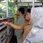 30 Warga Desa Ako yang Tergabung dalam UMKM Ayam Petelur Ako mendapat bantuan 200 ekor Ayam Petelur