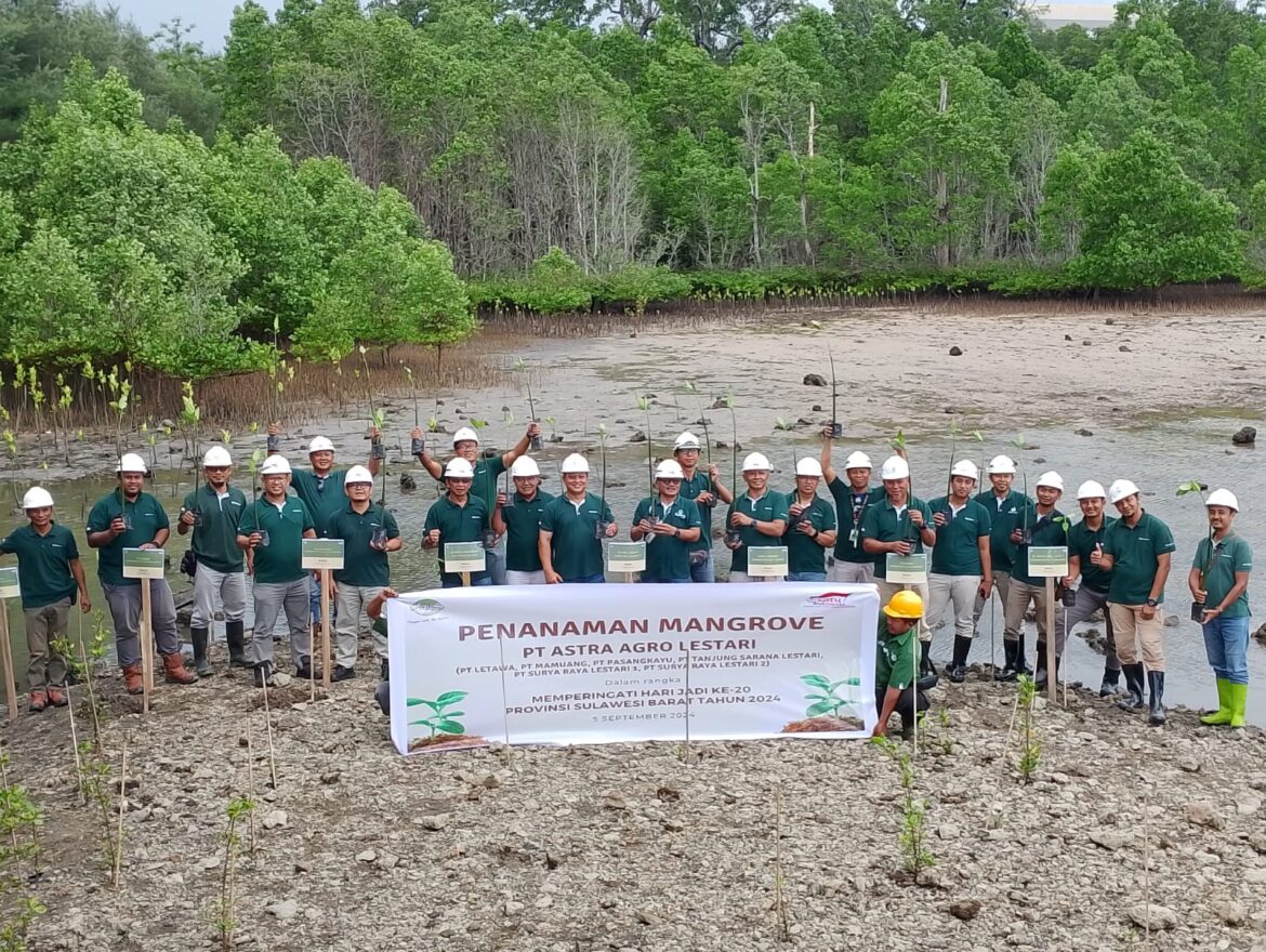 Astra Agro Lestari Area Celebes 1 Menanam Mangrove 1.500 Pohon, Dalan Peringati HUT Sulbar Ke 20